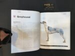 دائره المعارف جامع شناخت سگ ها - تصویر 4