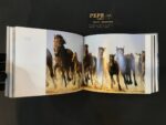 فوتوبوک اسب ها - Image 20