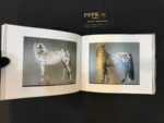 فوتوبوک اسب ها - Image 3