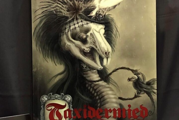 آرتبوک Taxidermied: The Art of Roman Dirge