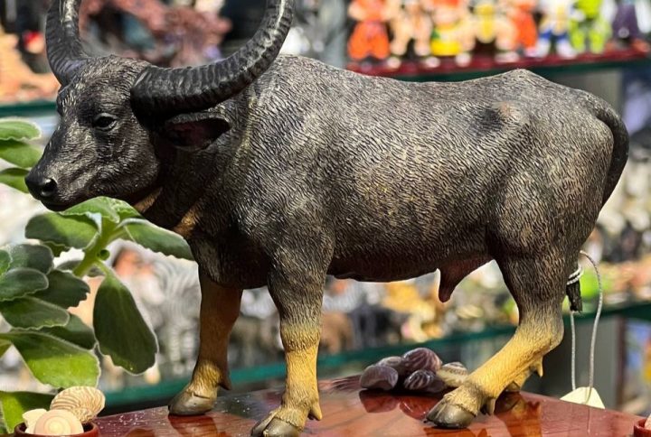 فیگور بوفالو آب وحشی Wild Water Buffalo