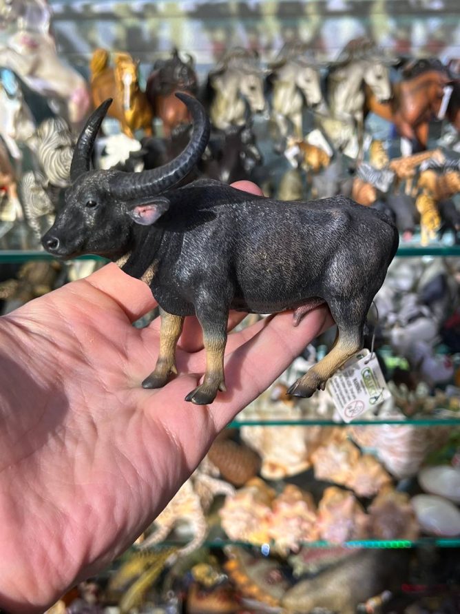 فیگور بوفالو آب وحشی Wild Water Buffalo