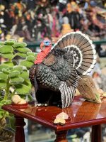 فیگور بوقلمون Turkey