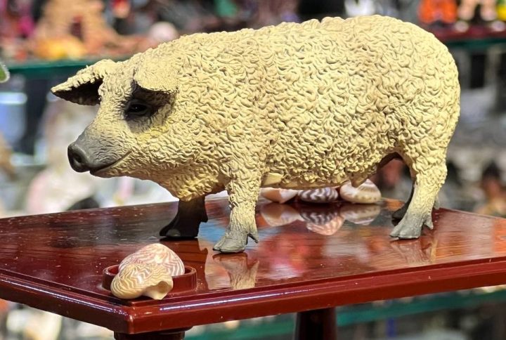 فیگور خوک مجارستانی Hungarian Pig