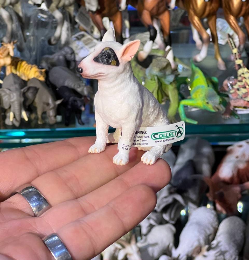 فیگور سگ بول تریر ماده Bull Terrier Female
