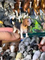 فیگور سگ بیگل Beagle