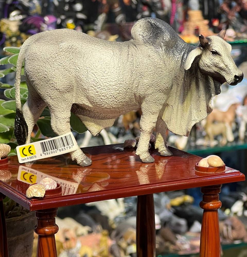 فیگور گاو برهمن Brahman Cow