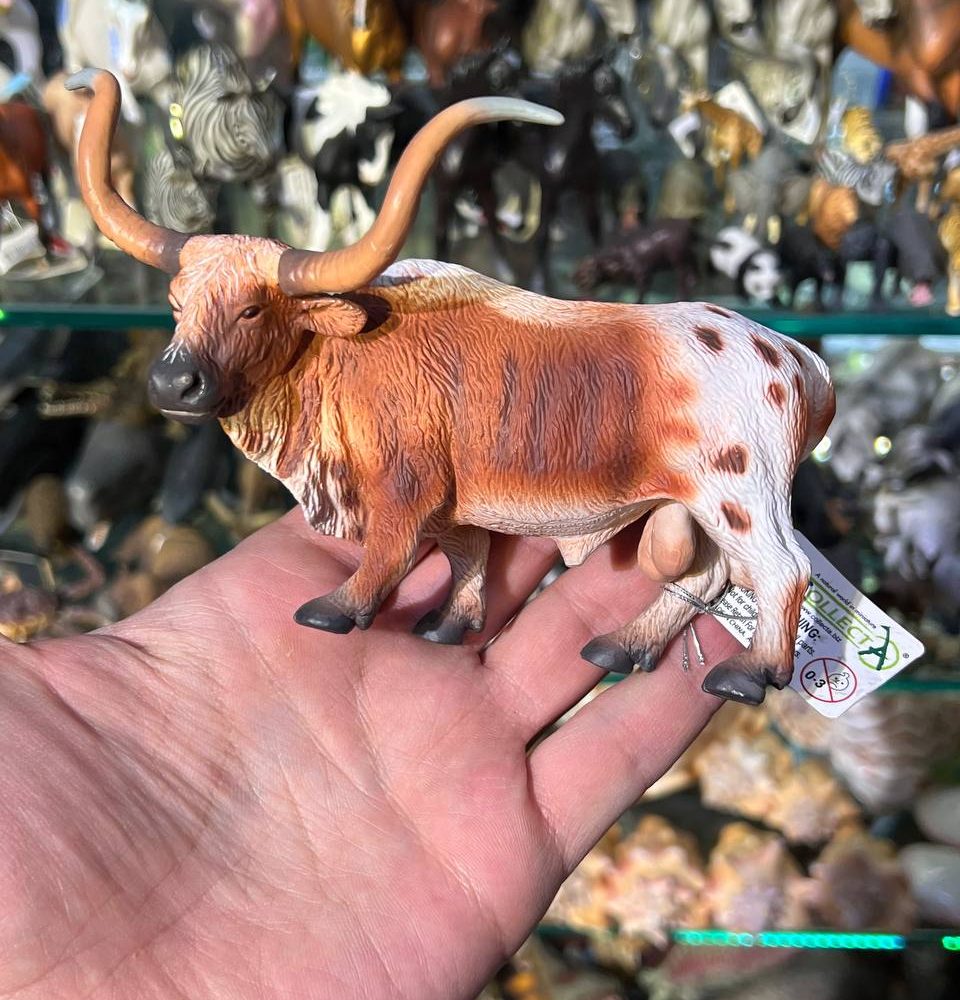 فیگور گاو نر بلند تگزاس Texas Longhorn Bull