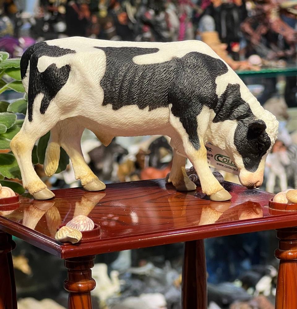 فیگور گاو هلشتاین schelith holestain bull