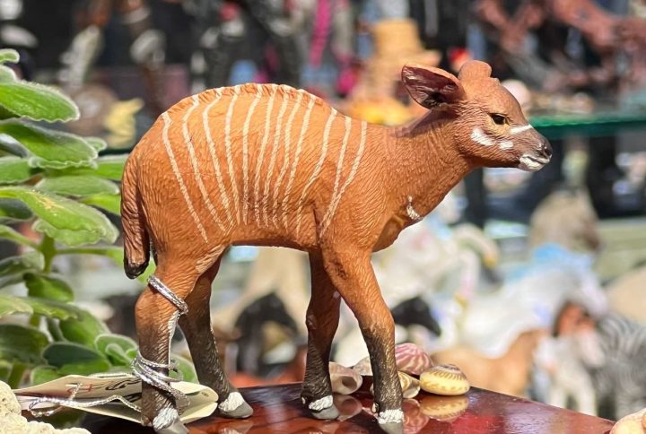 فیگور گوساله گورگوزن Bongo Calf