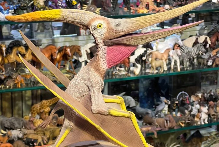 فیگور Pteranodon with Movable Jaw - 140 Scale