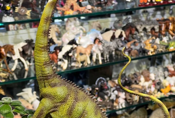 فیگور Diplodocus - Grey