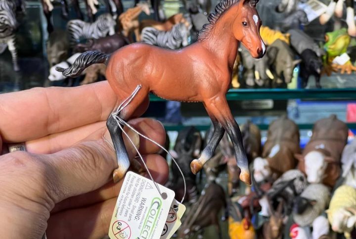 فیگور Quarter Horse Foal Bay