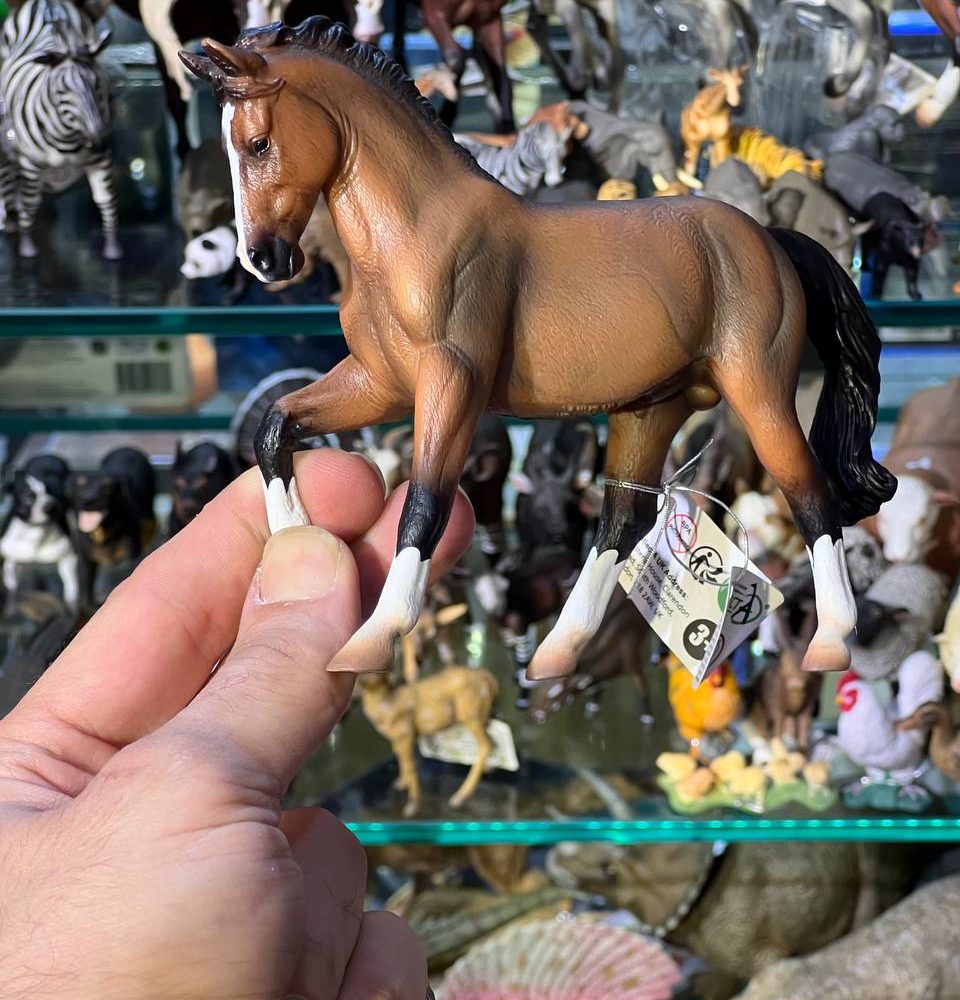 فیگور Warmblood Stallion Bay