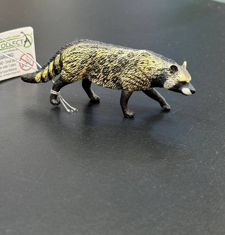 فیگور African Civet