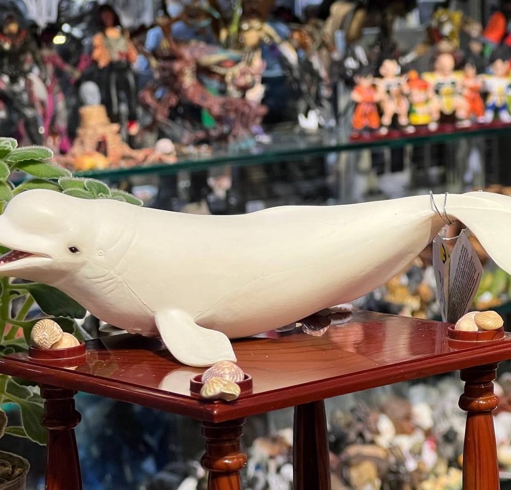 فیگور Beluga Whale