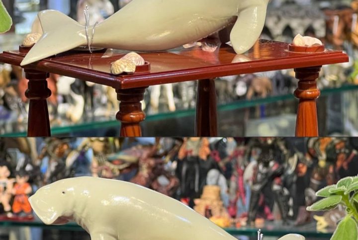 فیگور Dugong