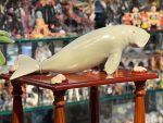 فیگور Dugong
