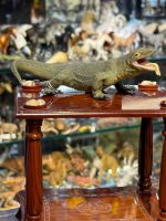 فیگور Komodo Dragon