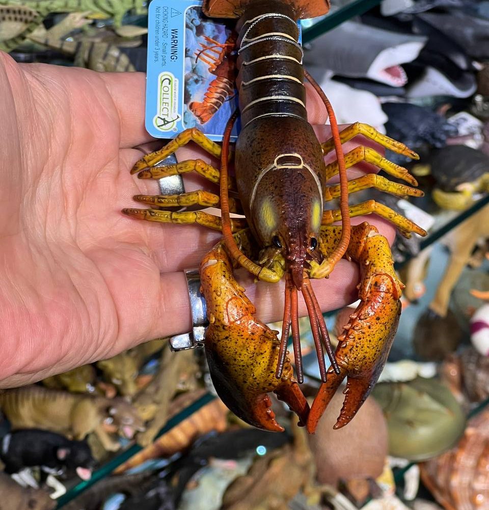فیگور Lobster