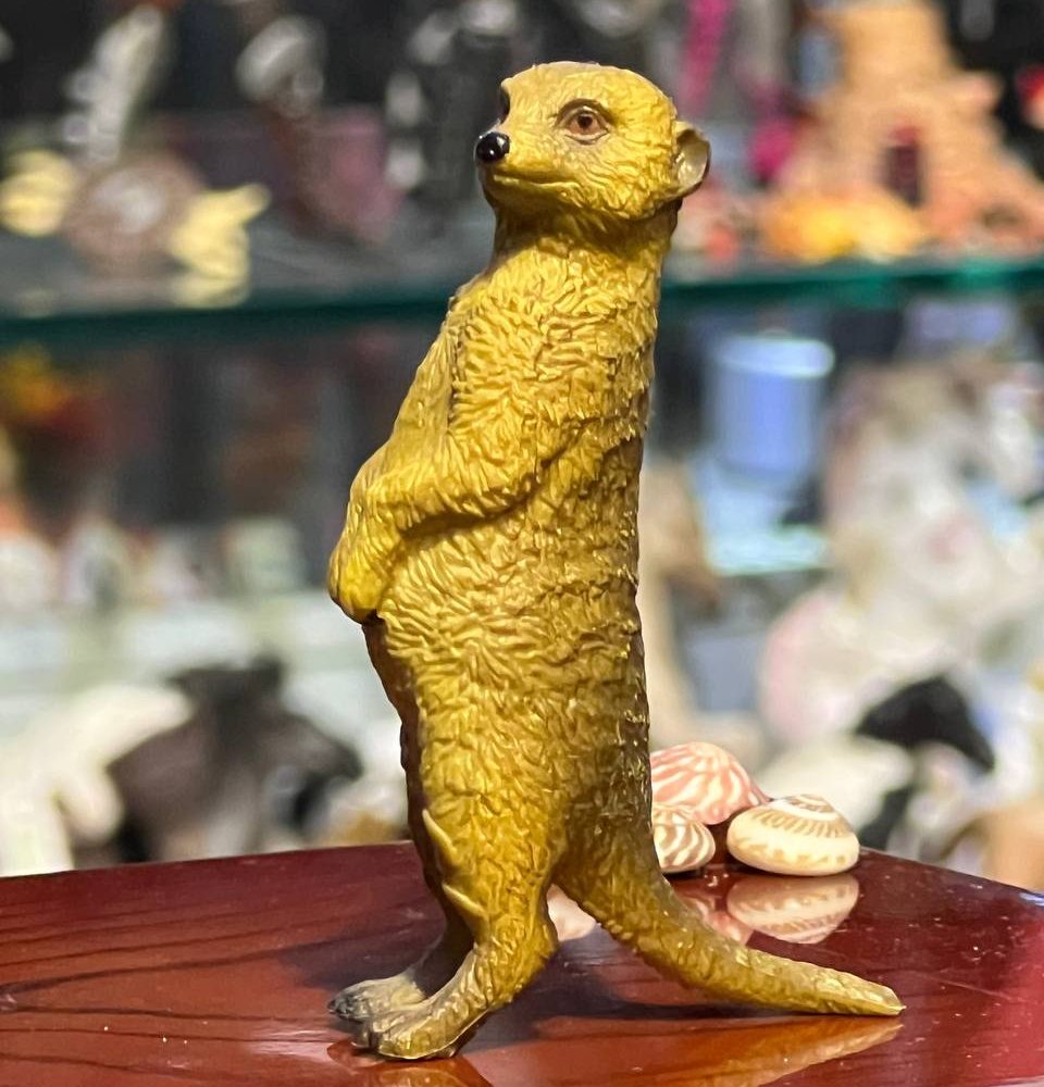 فیگور Meerkat