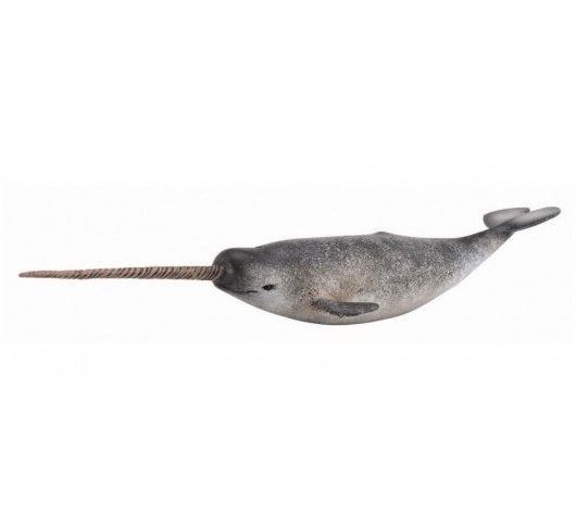 فیگور Narwhal
