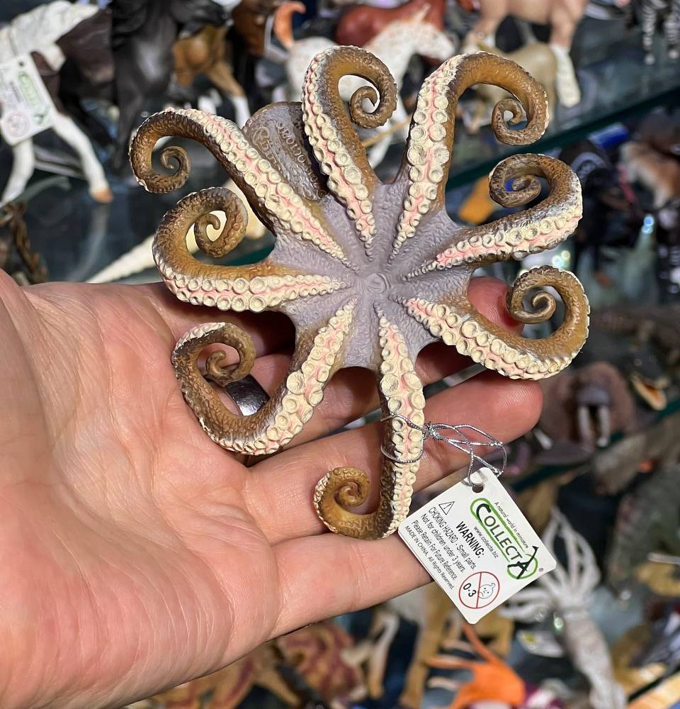 فیگور Octopus