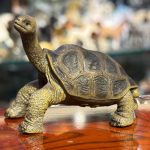 فیگور Pinta Island Tortoise