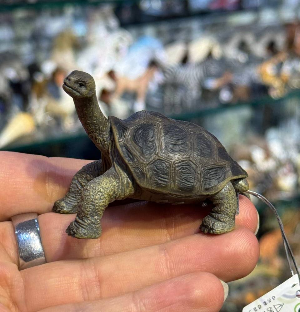 فیگور Pinta Island Tortoise