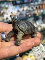 فیگور Pinta Island Tortoise