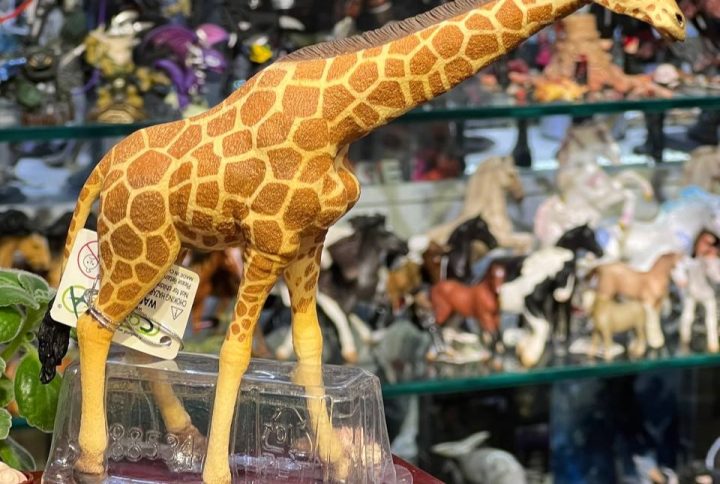فیگور Reticulated Giraffe