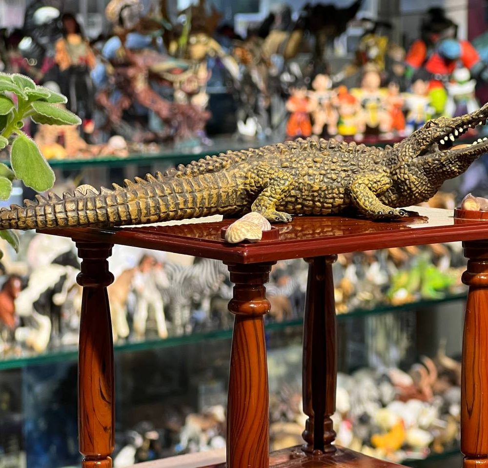 فیگور Sarcosuchus